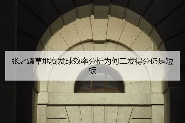 张之臻草地赛发球效率分析为何二发得分仍是短板