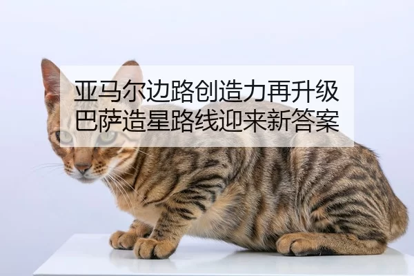 ya-ma-er-bian-lu-chuang-zao-li-zai-sheng-ji-ba-sa-zao-xing-lu-xian-ying-lai-xin-da-an-2-959.jpg